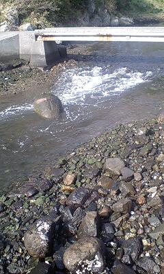 e0204372_21191831.jpg