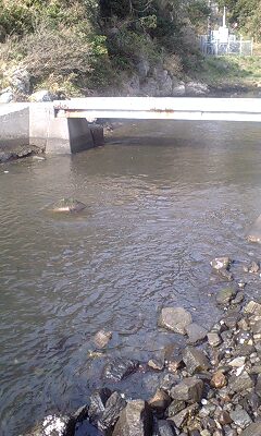 e0204372_21204168.jpg