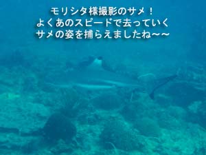 ピピオーバーナイト_f0144385_22323713.jpg