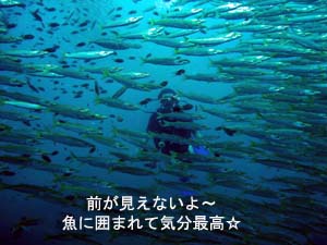 ピピオーバーナイト_f0144385_22344026.jpg
