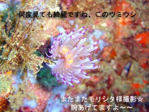 ピピオーバーナイト_f0144385_2235217.jpg