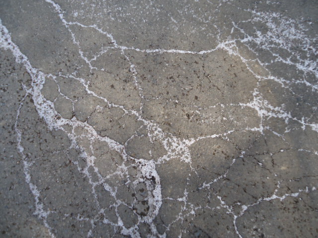 c0099395_8395038.jpg