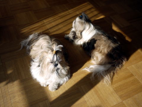 c0090198_4471210.jpg