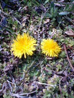 e0232505_22145019.jpg