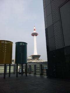 桜色のバラで。_a0136507_22541327.jpg