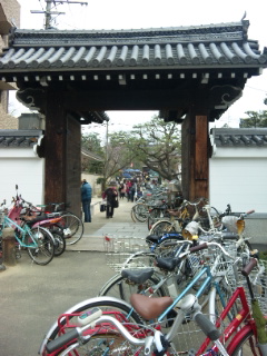 桜色のバラで。_a0136507_22545822.jpg