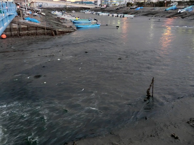 c0154409_21383119.jpg