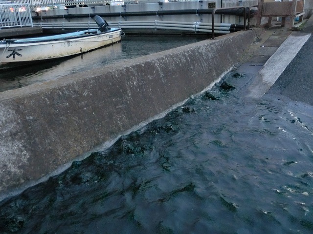c0154409_21414525.jpg