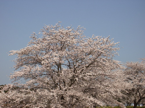 e0204314_17431638.jpg