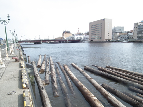 c0185132_2161435.jpg
