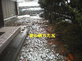 f0031037_1145117.jpg