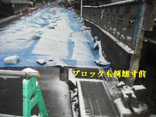 f0031037_117639.jpg