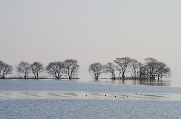 いつもの湖北_f0032137_22553666.jpg