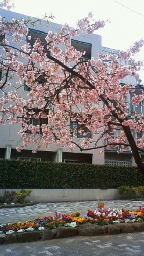 c0113755_042582.jpg