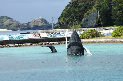 ケラマの海⑫_c0180460_2242227.jpg