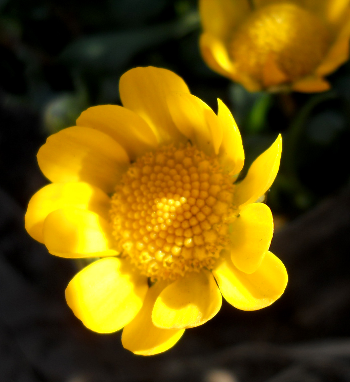 f0213861_01117.jpg