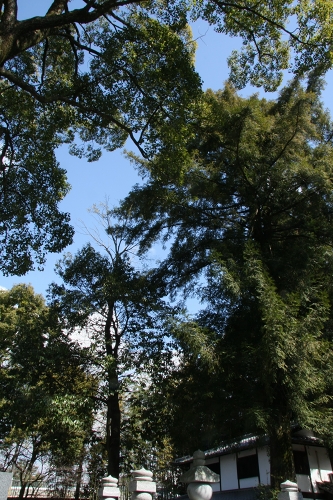 c0196076_1422883.jpg