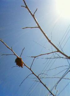 c0135480_16123168.jpg