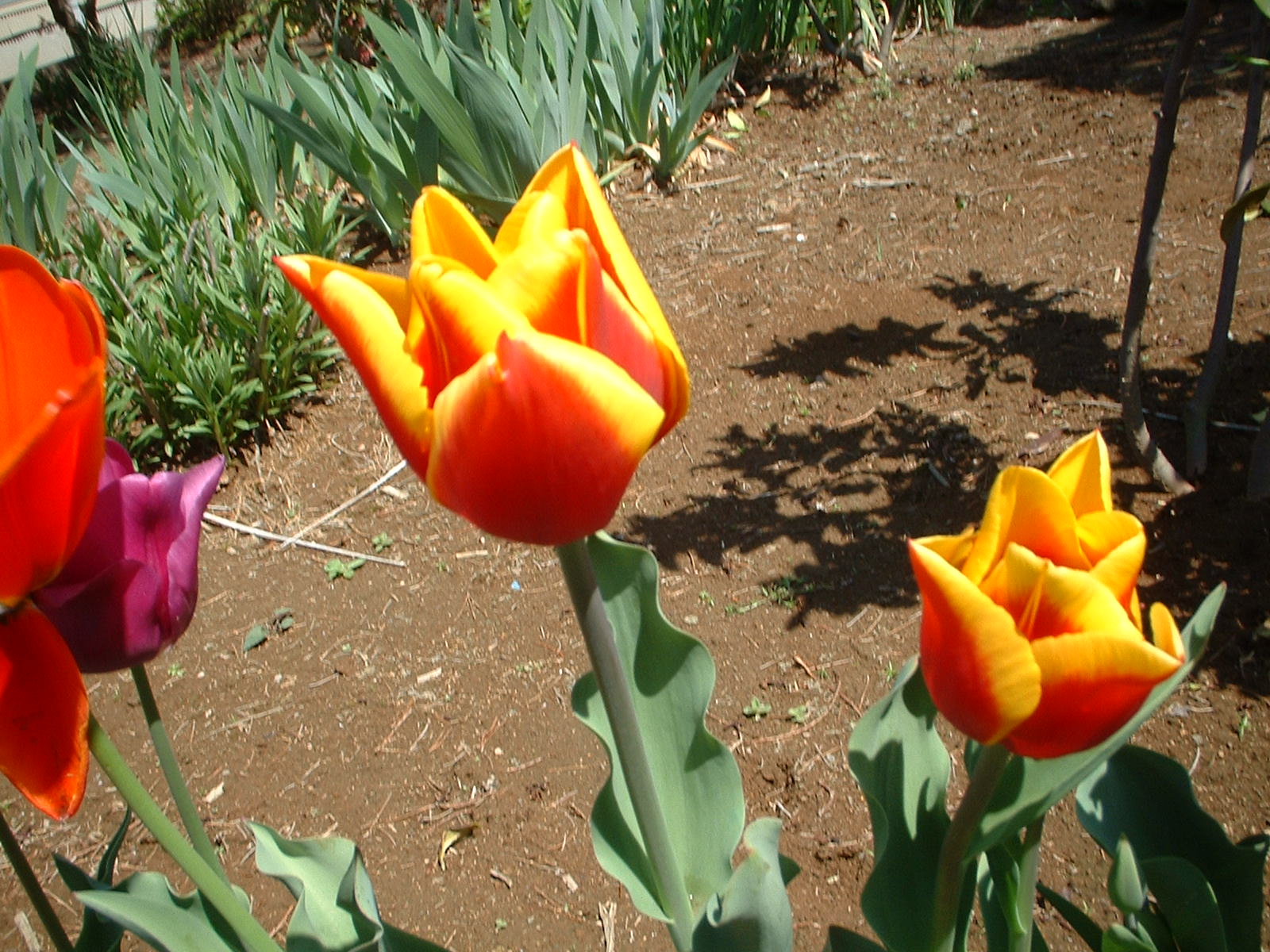e0149683_121226.jpg