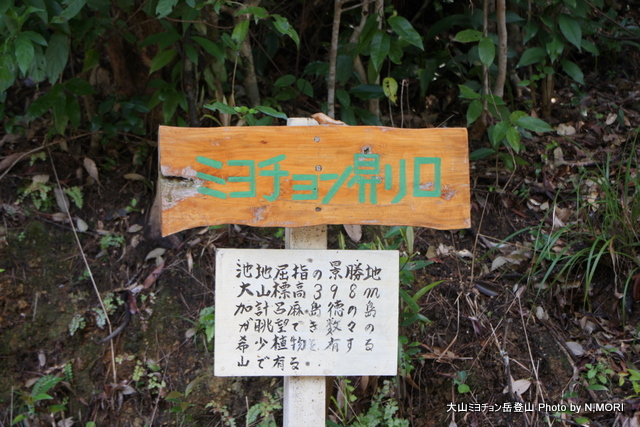 b0115085_1444115.jpg