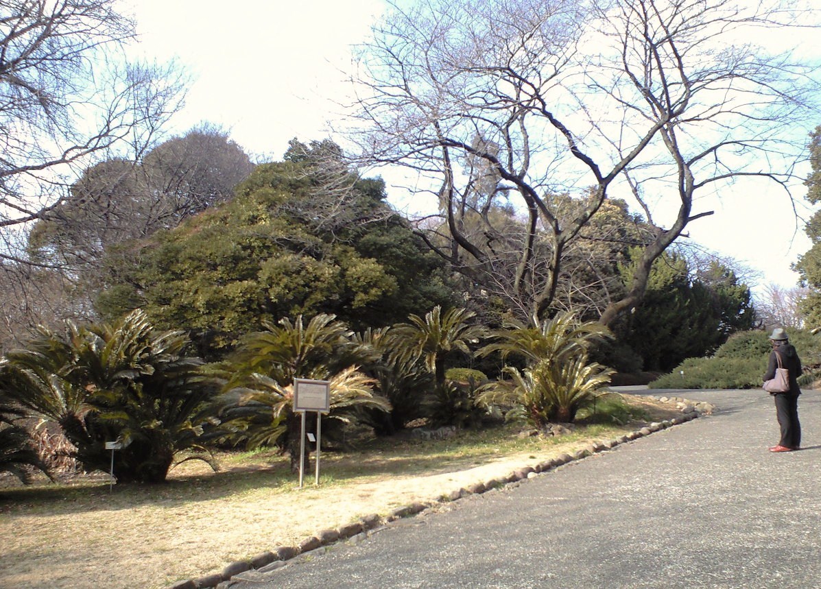 c0149285_14281241.jpg