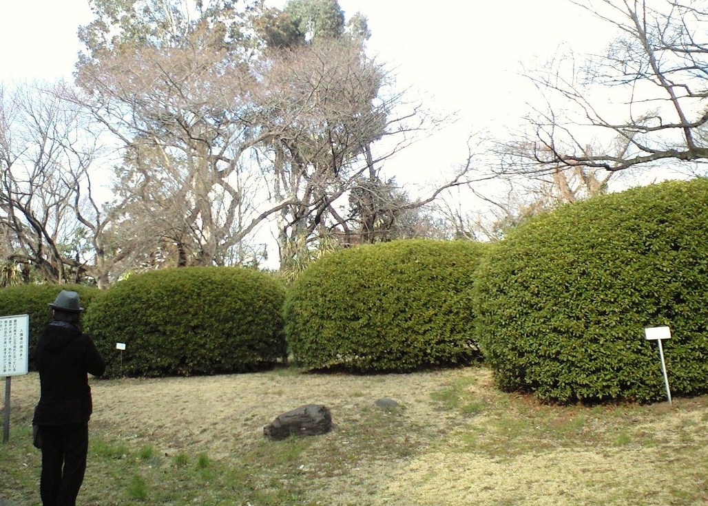 c0149285_14282846.jpg