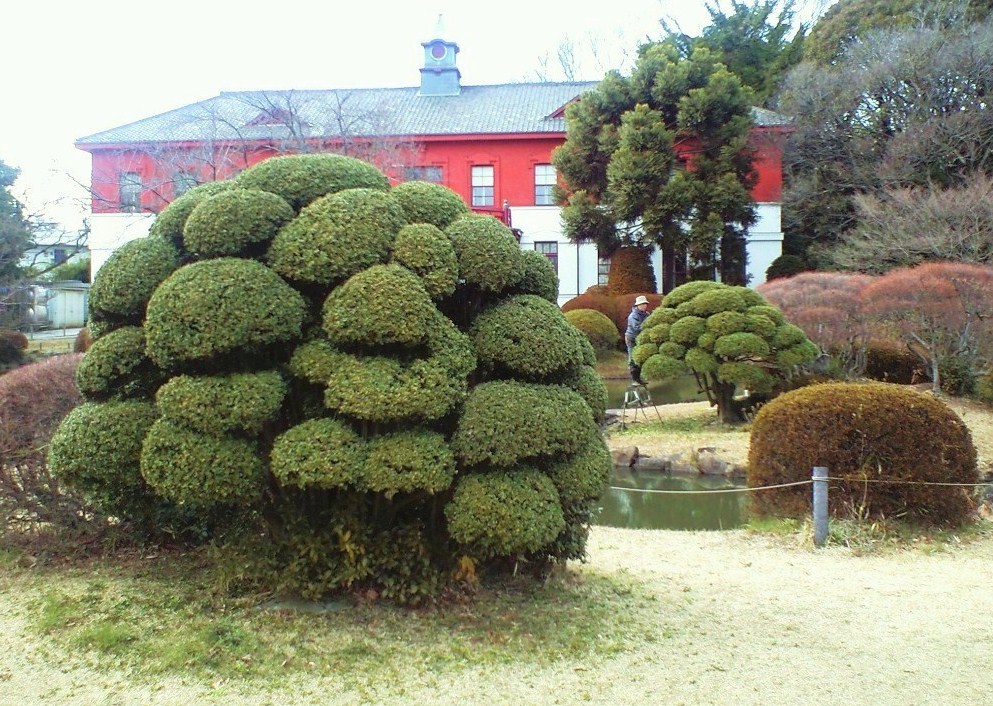 c0149285_1429697.jpg