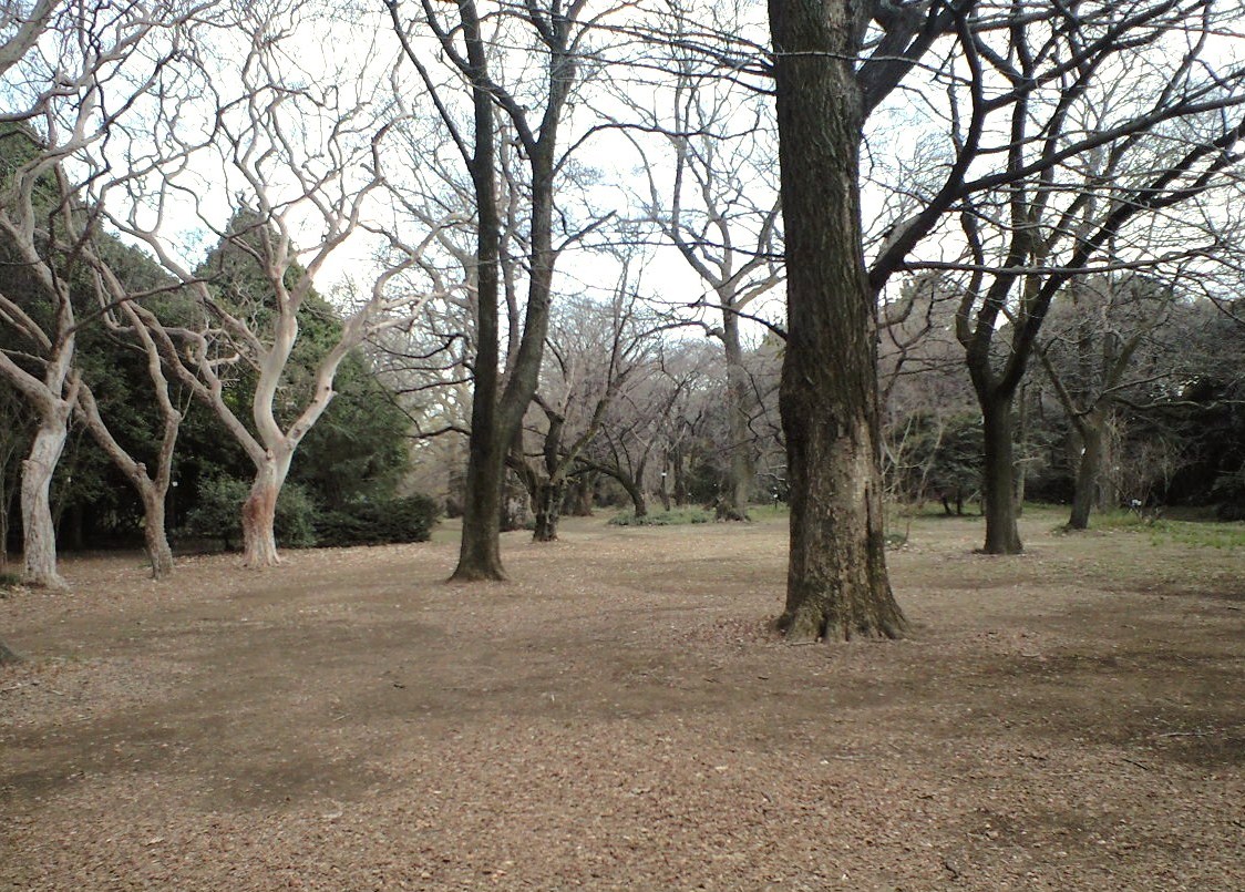 c0149285_14342535.jpg