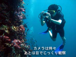シャークポイント最高!_f0144385_2318991.jpg