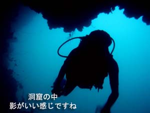 シャークポイント最高!_f0144385_23192783.jpg