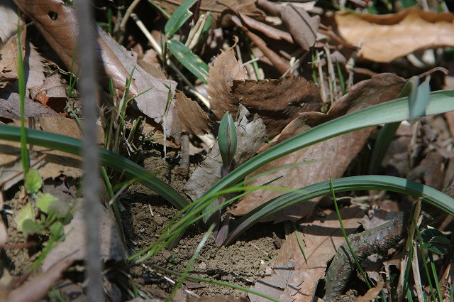 e0070891_18282335.jpg