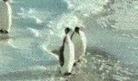 c0078592_22342298.gif