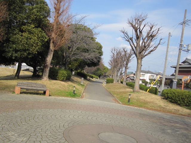 公園の歩道_a0145798_20123292.jpg