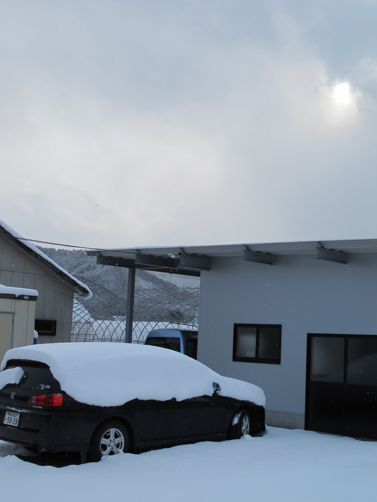 寒い日です_b0152504_20153118.jpg