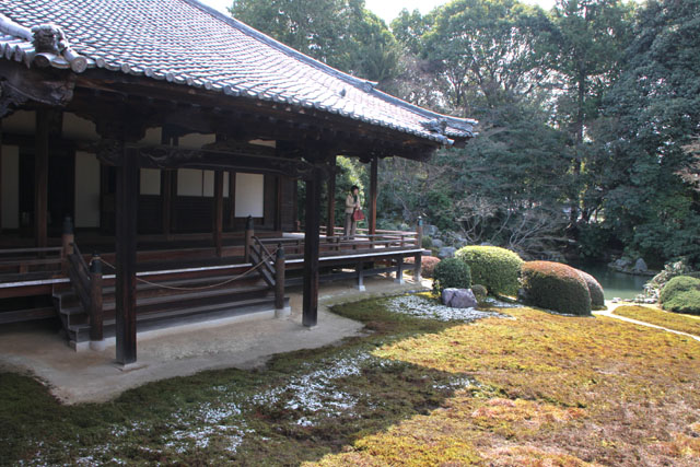 随心院 小町寺_e0048413_20463774.jpg