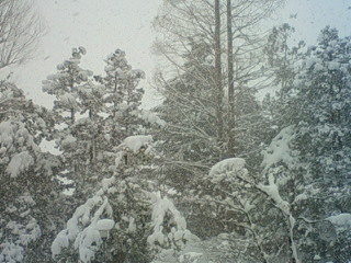 f0085327_9414514.jpg