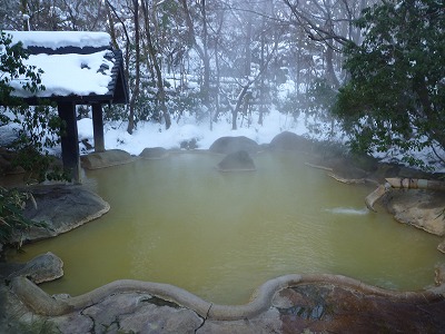 筌の口温泉 旅館新清館　大分の温泉_d0086228_142925.jpg