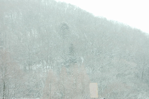 b0097729_17351270.jpg