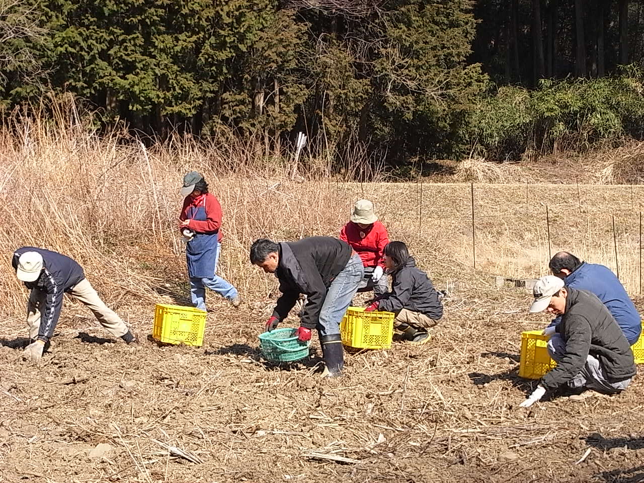 ２月の青空カフェ～ジャガイモ植えよう！ネイチャーゲームで遊ぼう！_c0167329_7442459.jpg