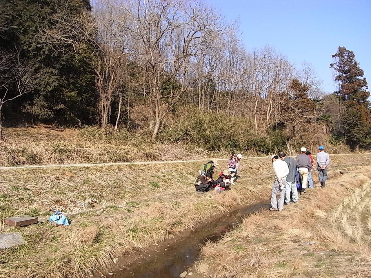 c0167329_801350.jpg