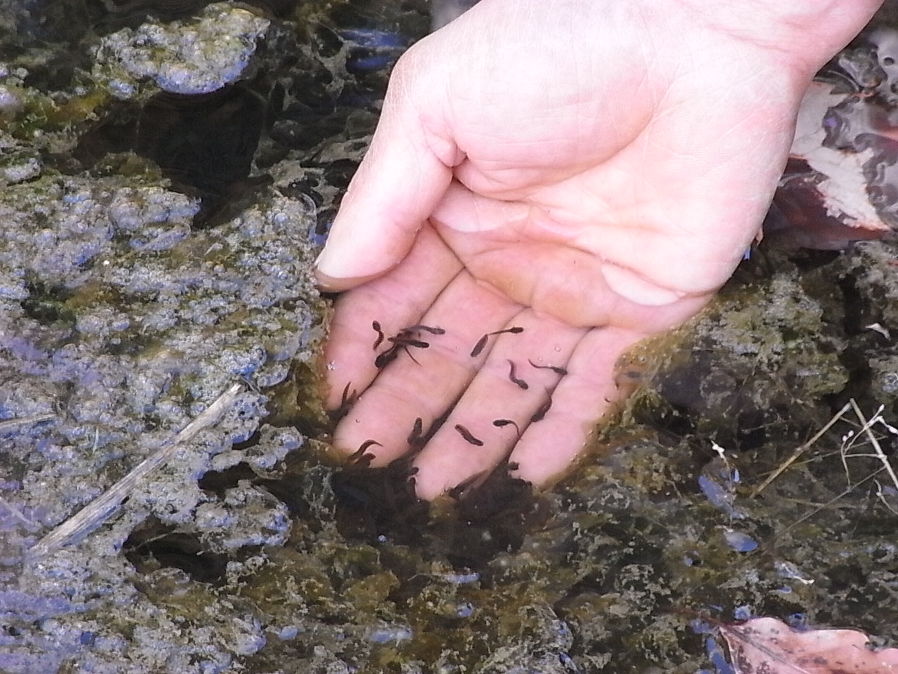 c0167329_81163.jpg