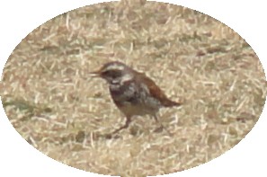 c0108460_18133735.jpg