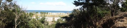 c0108460_1881645.jpg