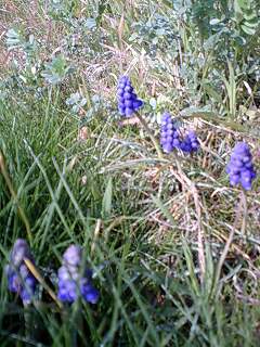 e0232505_21105358.jpg