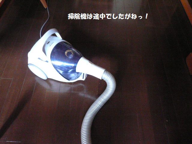 e0094407_222881.jpg