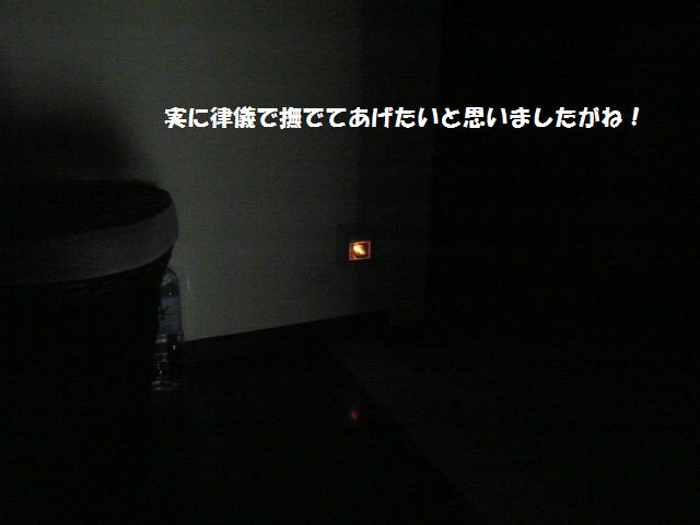 e0094407_22302633.jpg