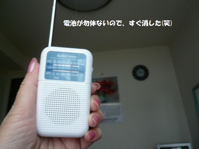 e0094407_223418100.jpg