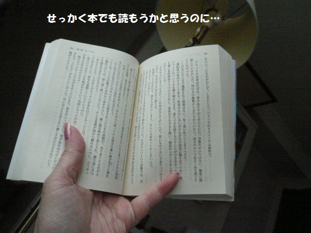 今日もお茶の水～！_e0094407_22374853.jpg