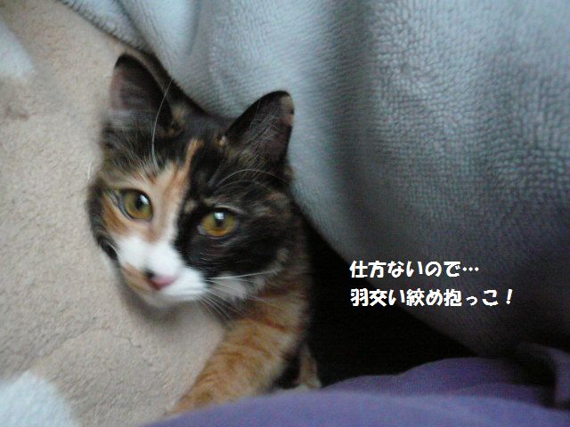 e0094407_22403799.jpg