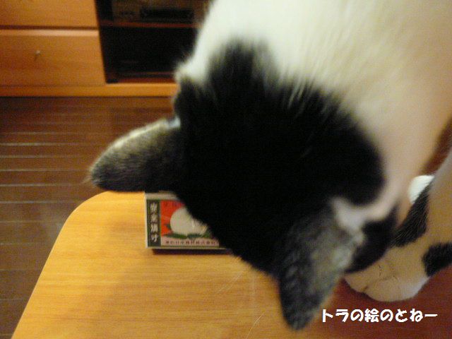e0094407_22591639.jpg